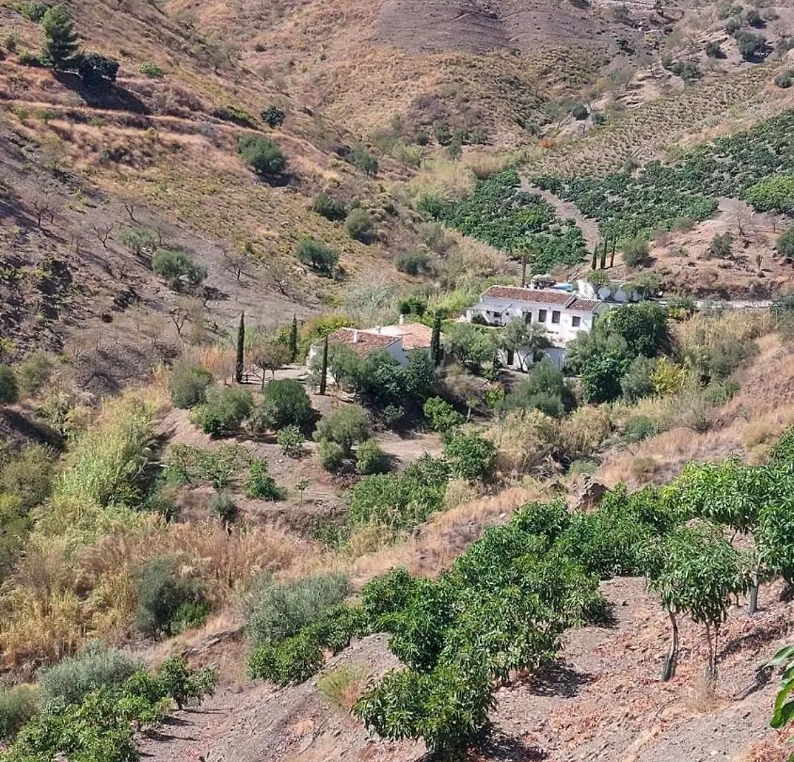 Casa de Campo Cortijo Lagar De Luisa Casa de hóspedes Borge