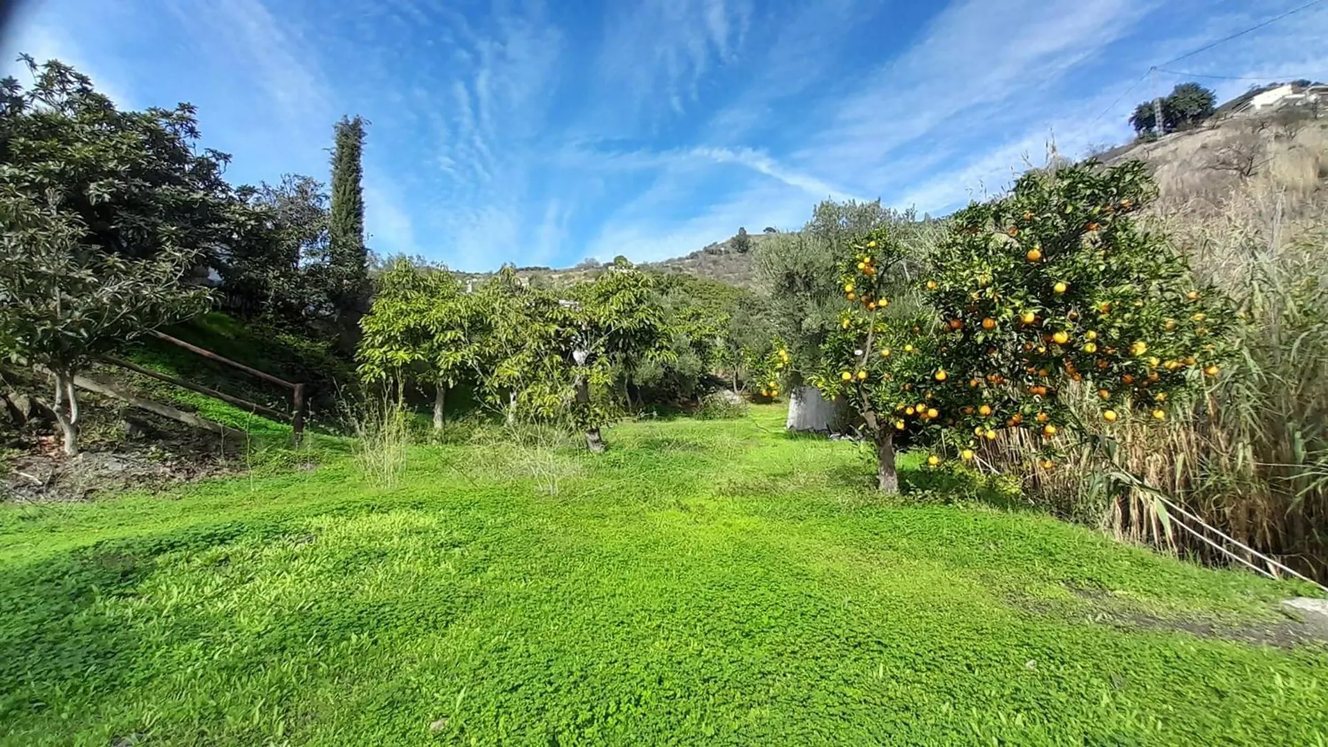 Cortijo Lagar De Luisa Casa de hóspedes Borge