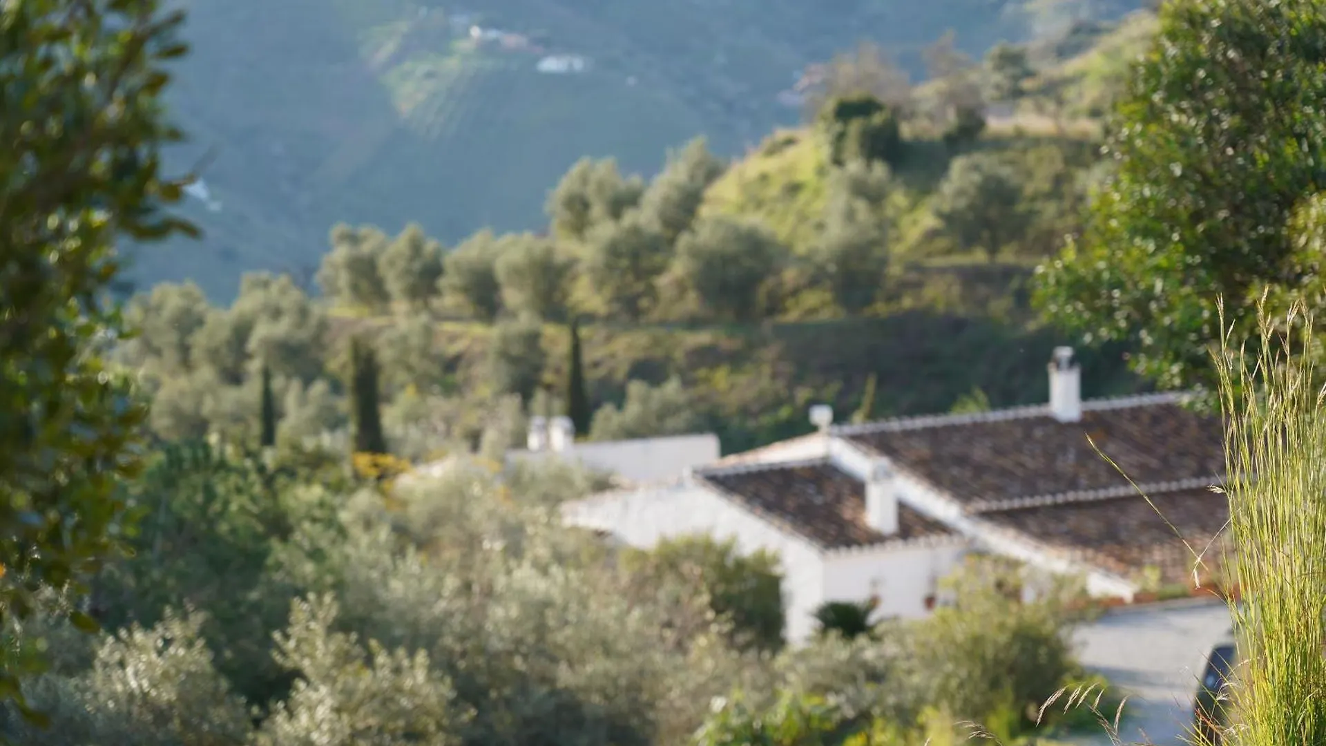 Cortijo Lagar De Luisa Casa de hóspedes Borge 0*,  Espanha