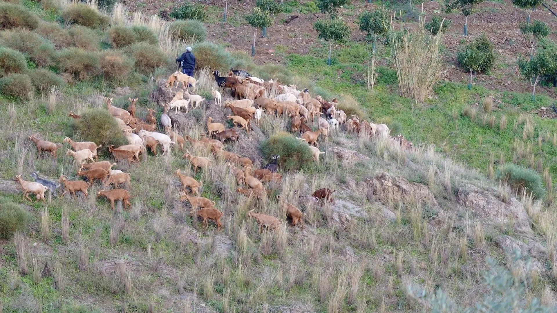 Cortijo Lagar De Luisa Casa de hóspedes Borge Espanha