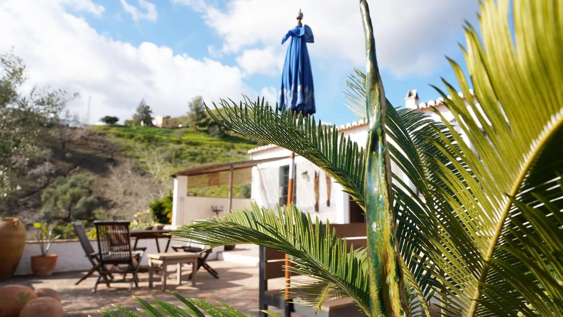 Casa rural Hostal Cortijo Lagar de Luisa Borge