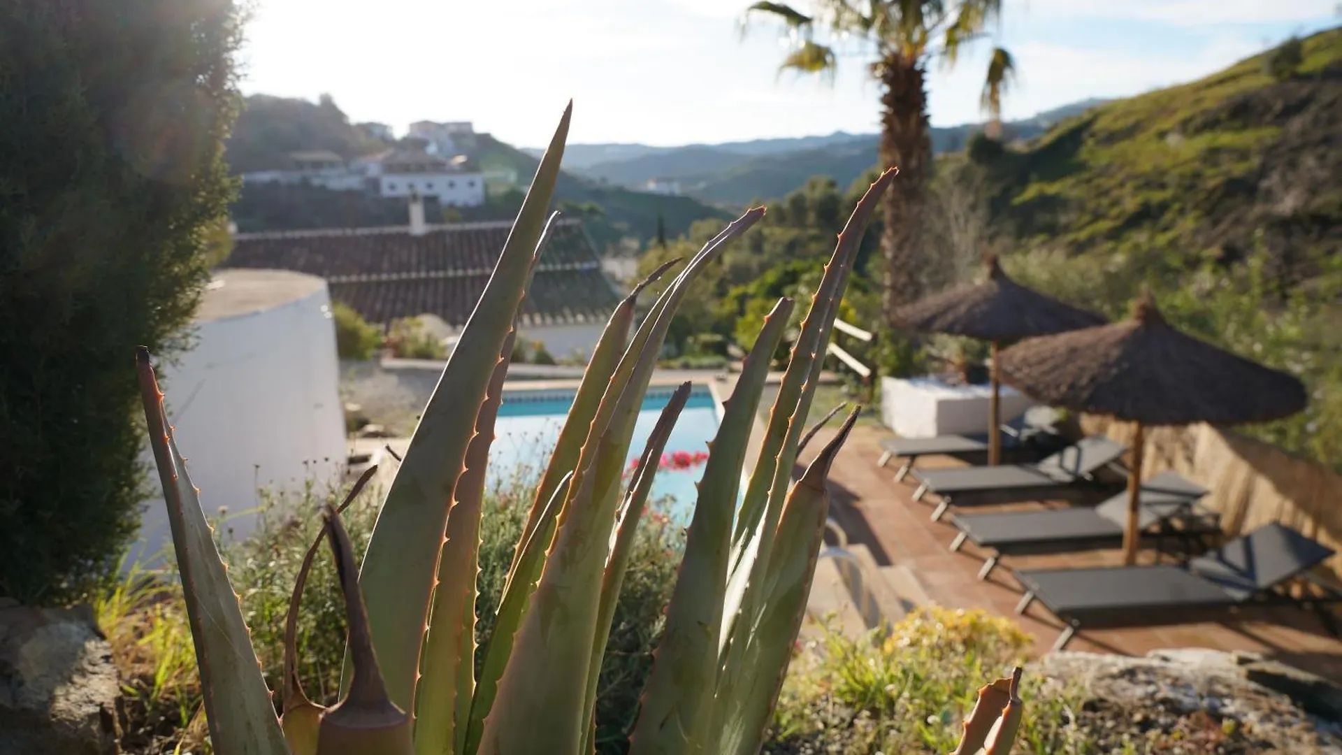 Hostal Cortijo Lagar de Luisa Borge 0*,