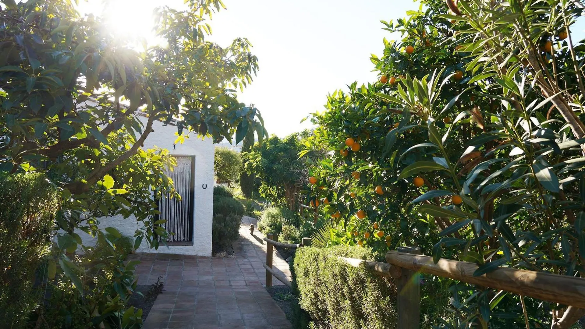 Hostal Cortijo Lagar de Luisa Borge 0*,  España