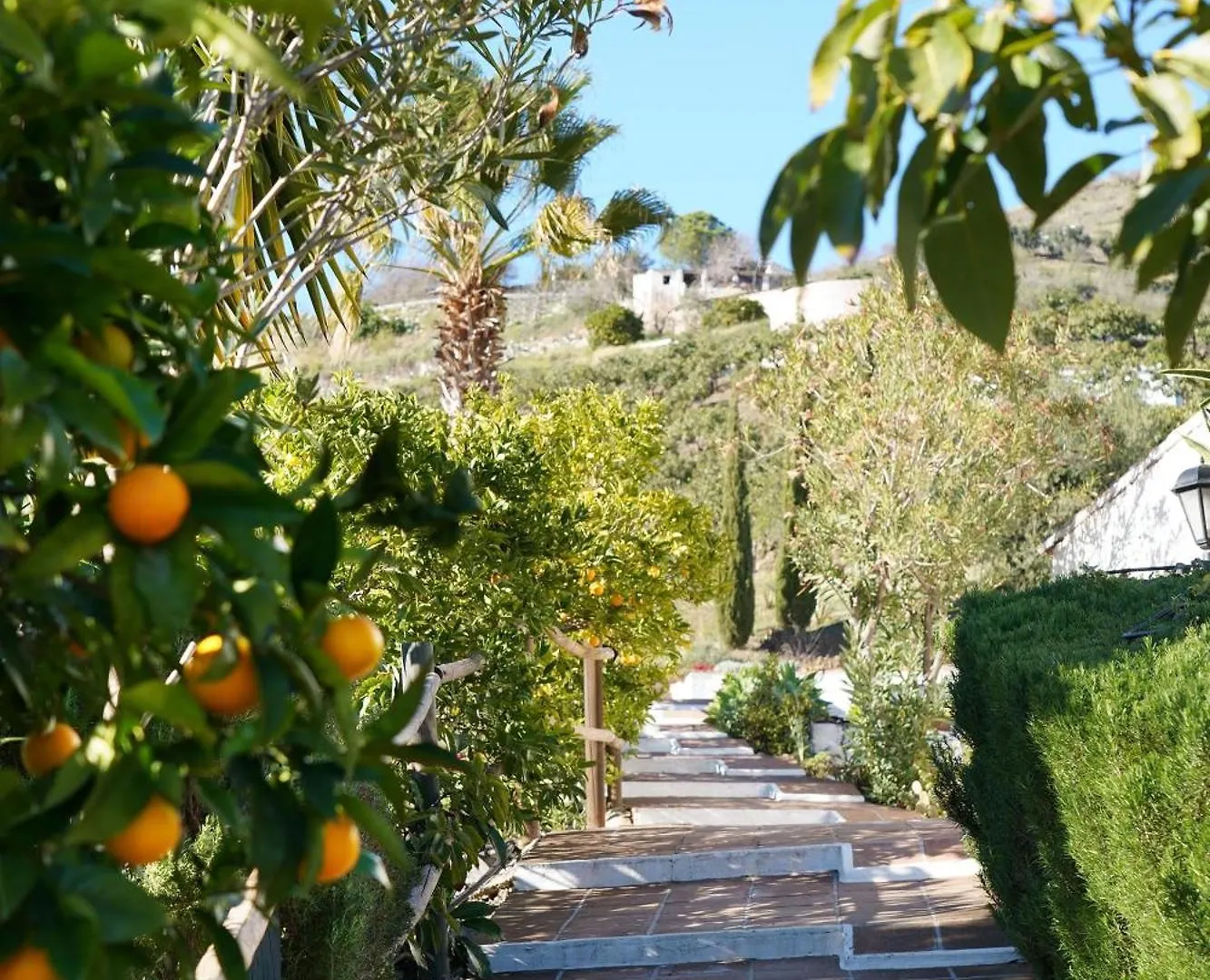Casa rural Hostal Cortijo Lagar de Luisa Borge
